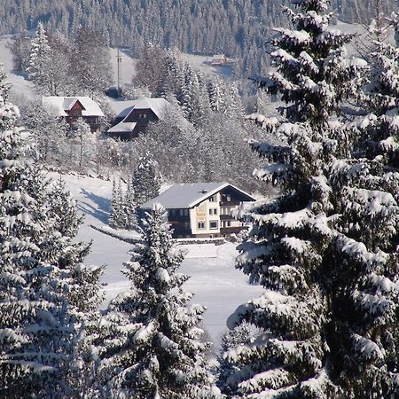 Cozy Apartment In Afritz Am See Near Gerlitzen Ski Area Exterior foto